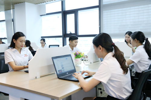 新公司注册后，选择代理记账的三大好处与明智决策指南